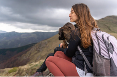 Heilpilze: Dein Upgrade für Balance und Fokus