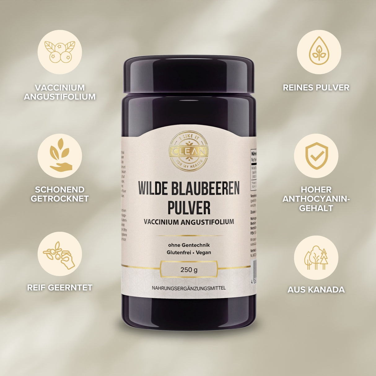 Wilde Blaubeere Pulver aus Kanada