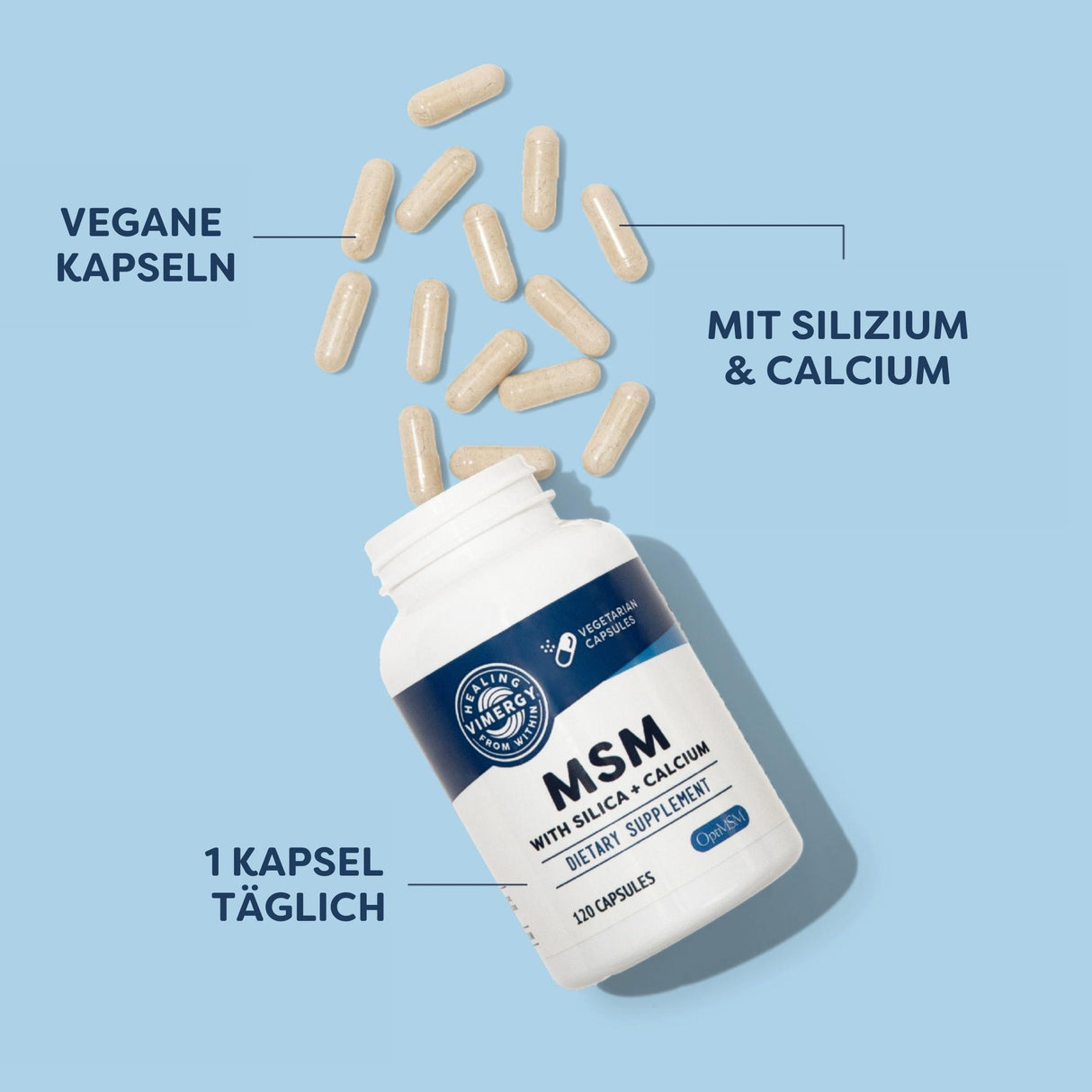 MSM mit Silica