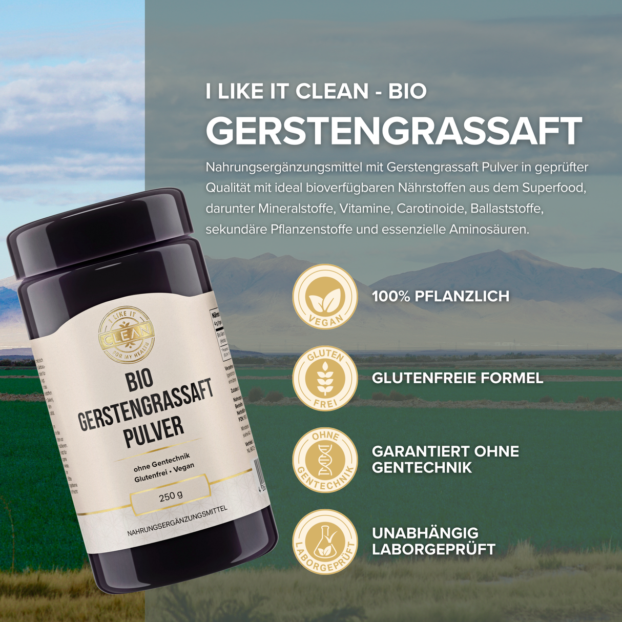 Gerstengrassaft Pulver