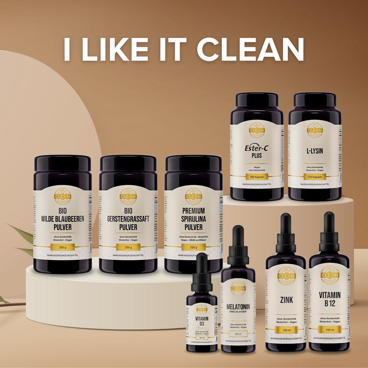 Wilde Blaubeere Pulver aus Kanada