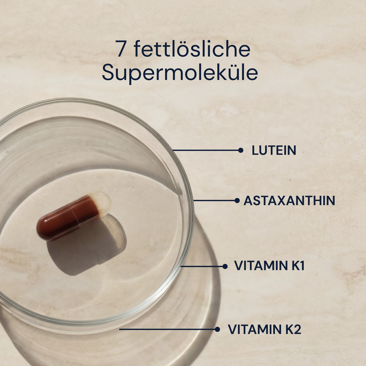Advanced Antioxidants