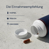 Advanced Antioxidants