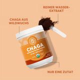 Chaga Pulver | 250 g