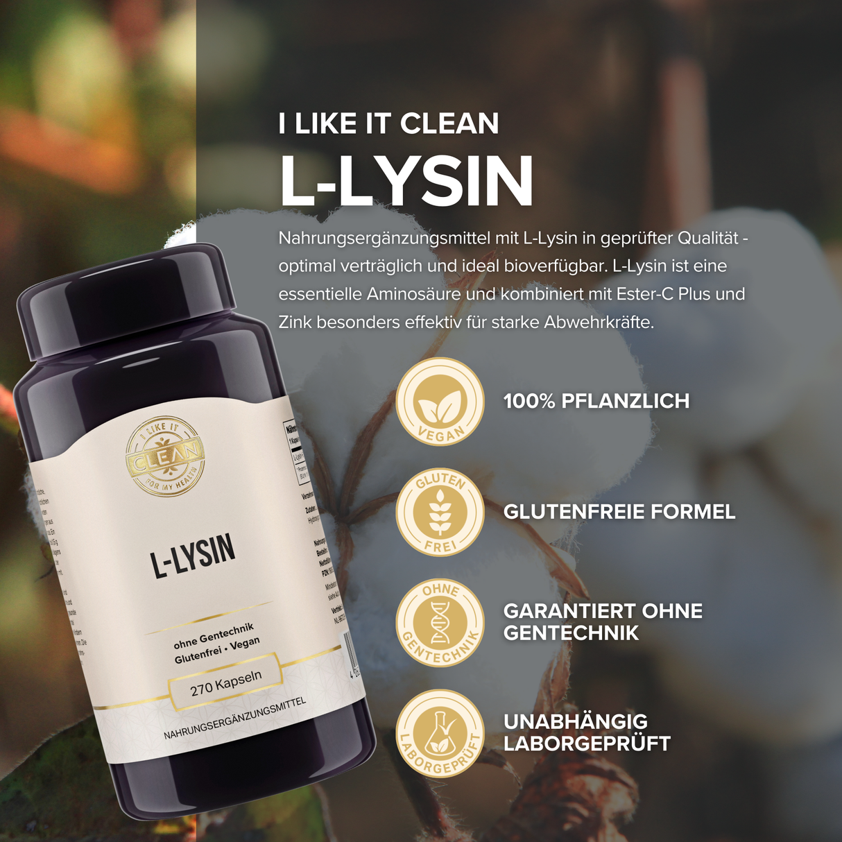 L-Lysin