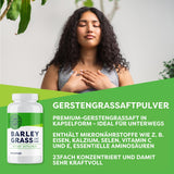 Gerstengrassaft Kapseln